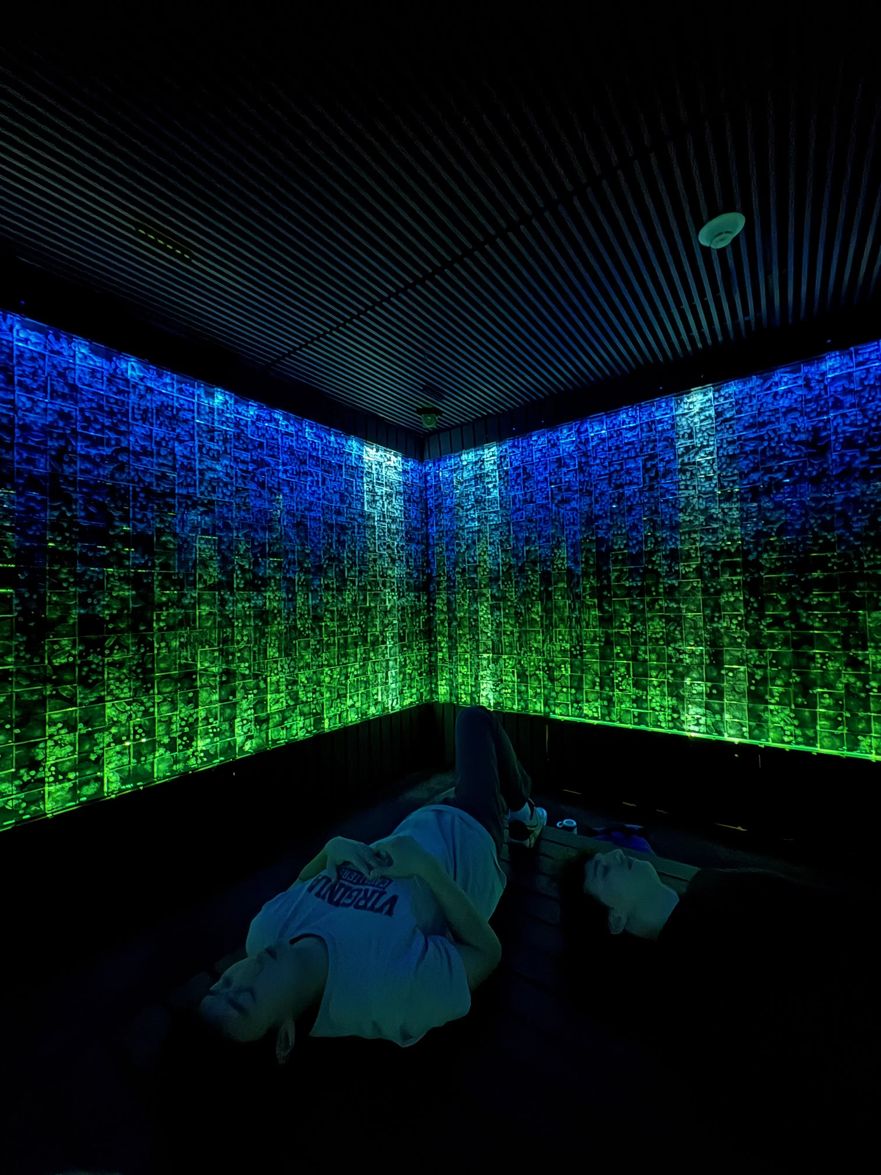 UVA Mediation Room